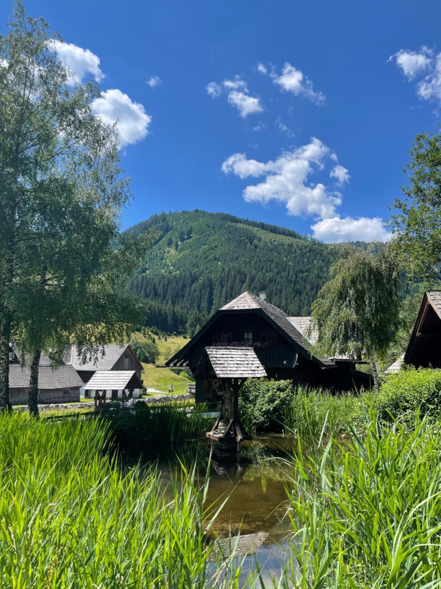Ferienhaus Bettina Rassis Feriendorf Donnersbachwald Dış mekan fotoğraf